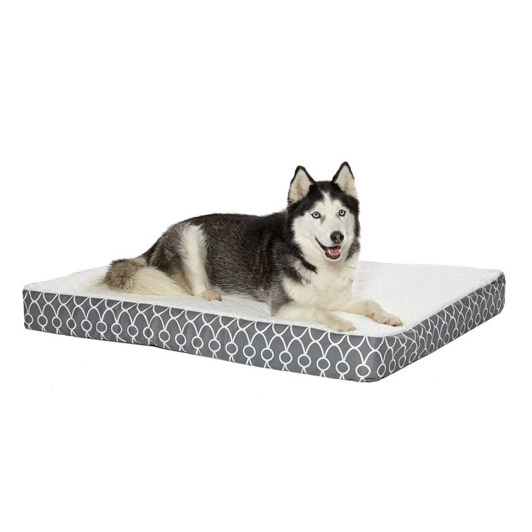 Wayfair orthopedic 2024 dog beds